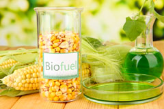 Routs Green biofuel availability